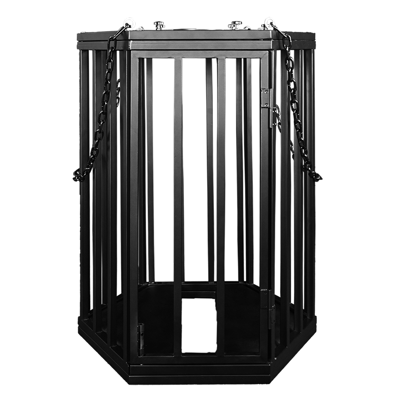 白底 Hexagonal Suspension Cage(HQJS-006) - Image 1